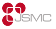 Logo Jena School for Microbial Communication (JSMC).
